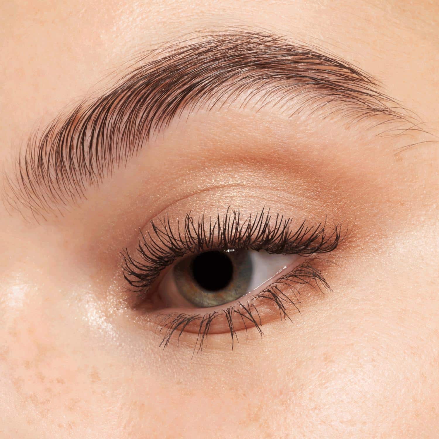 Sombras Para Ojos En Paleta The Brown Edition ESSENCE - Imagen 3