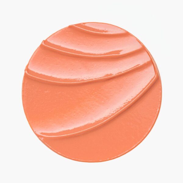 Brillo Labial Holiday Lips SPF 25 Caring CATRICE - Imagen 2