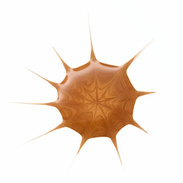 Bronceador Líquido Drop Of Sunshine ESSENCE 25 Ml - Imagen 5
