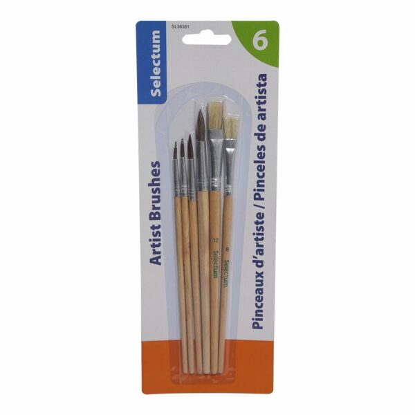 Pinceles de artistas Puntas Distintas LPS 6 Uds
