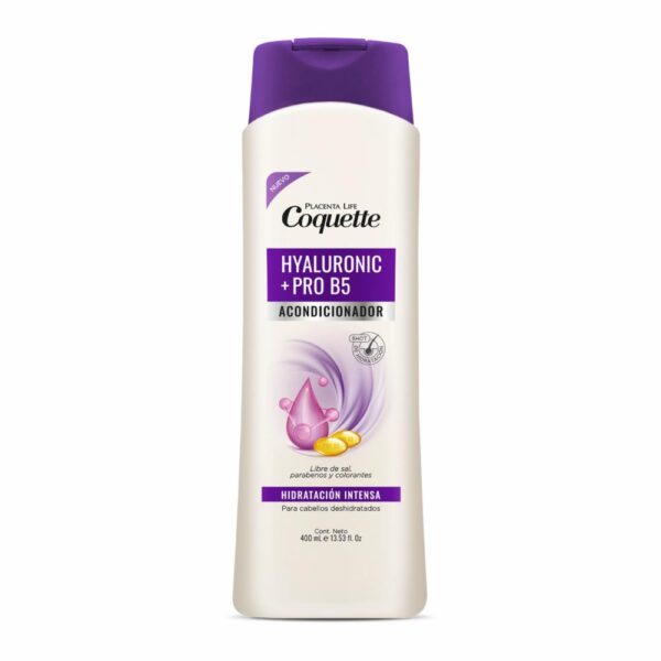 Acondicionador Acido Hialuronico & Pro B5 COQUETTE 400 Ml