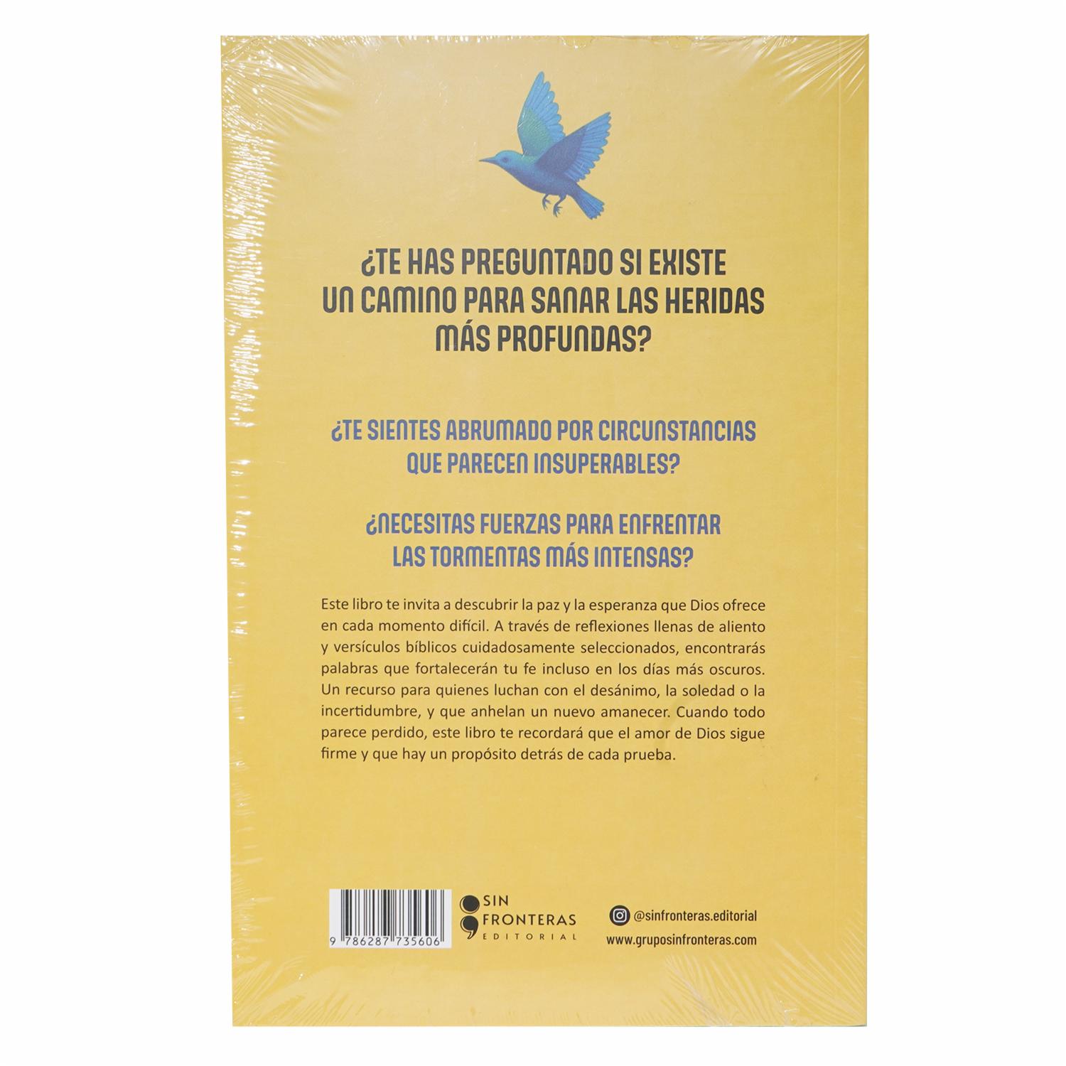 Libro A Diario Con Dios Para Momentos Dificiles SIN FRONTERAS 205 Páginas - Imagen 2