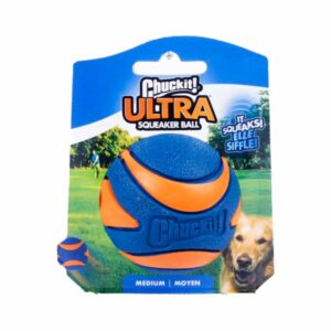 Juguete Para Mascota Pelota Con Sonido JW Unidad