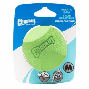 Pelota Para Mascota Chukit Errática DOK Mediano