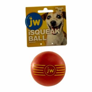 Juguete Para Mascota Pelota Llanas JW Pequeño