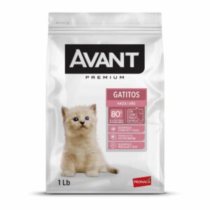 Alimento Para Gato Cachorros Premium AVANT 454 G