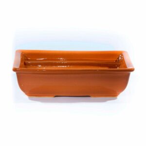 Maceta De Bonsay Rectangular Grande Vítrea CERAMICA NOVEL Unidad