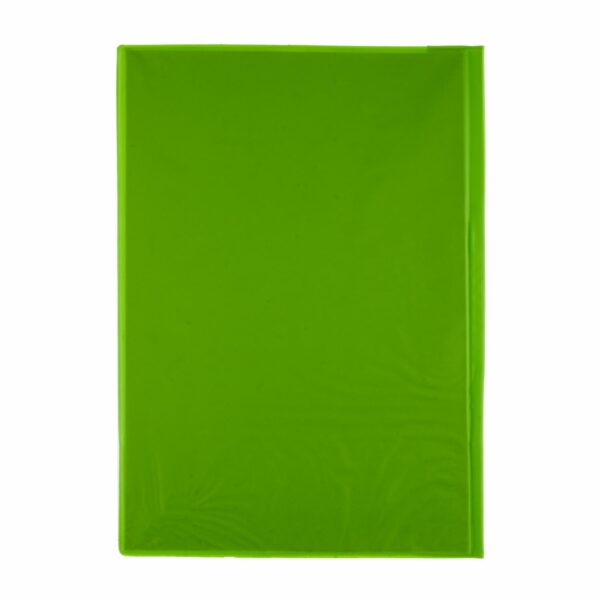 Carpeta Cubierta Transparente Oficio Verde Claro LANCER A4 - Imagen 2