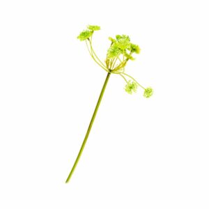 Rama De Follaje Verde Plano FREE HOME Artificial