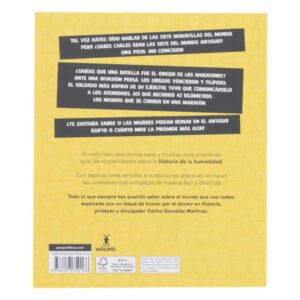 Libro Grandes Enigmas De La Historia MOLINO 126 Páginas