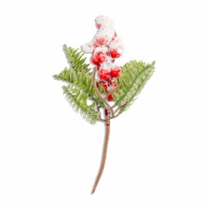 Pick Berry Nevado JOY 22 Cm