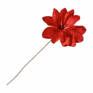 Poinsettia Roja JOY 24 Cm