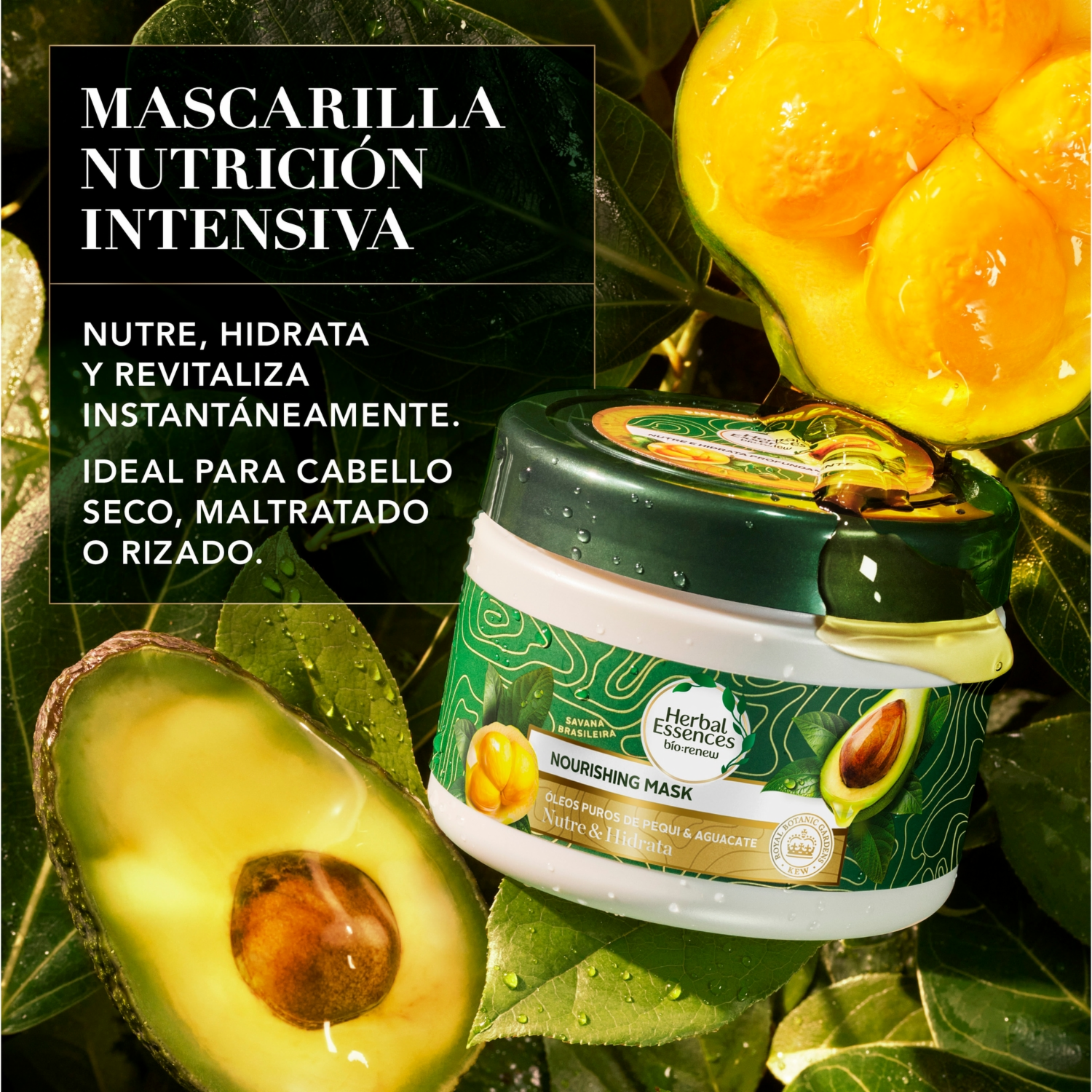 Mascarilla Hidratante Nutre E Hidrata Pequi & Aguacate HERBAL ESSENCES 300 Ml - Imagen 4