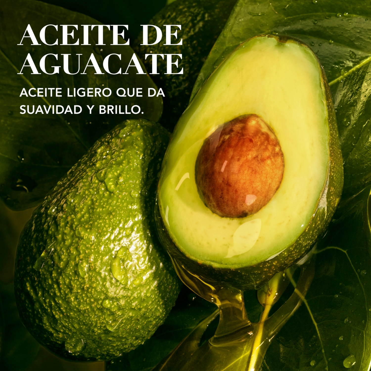 Mascarilla Hidratante Nutre E Hidrata Pequi & Aguacate HERBAL ESSENCES 300 Ml - Imagen 18