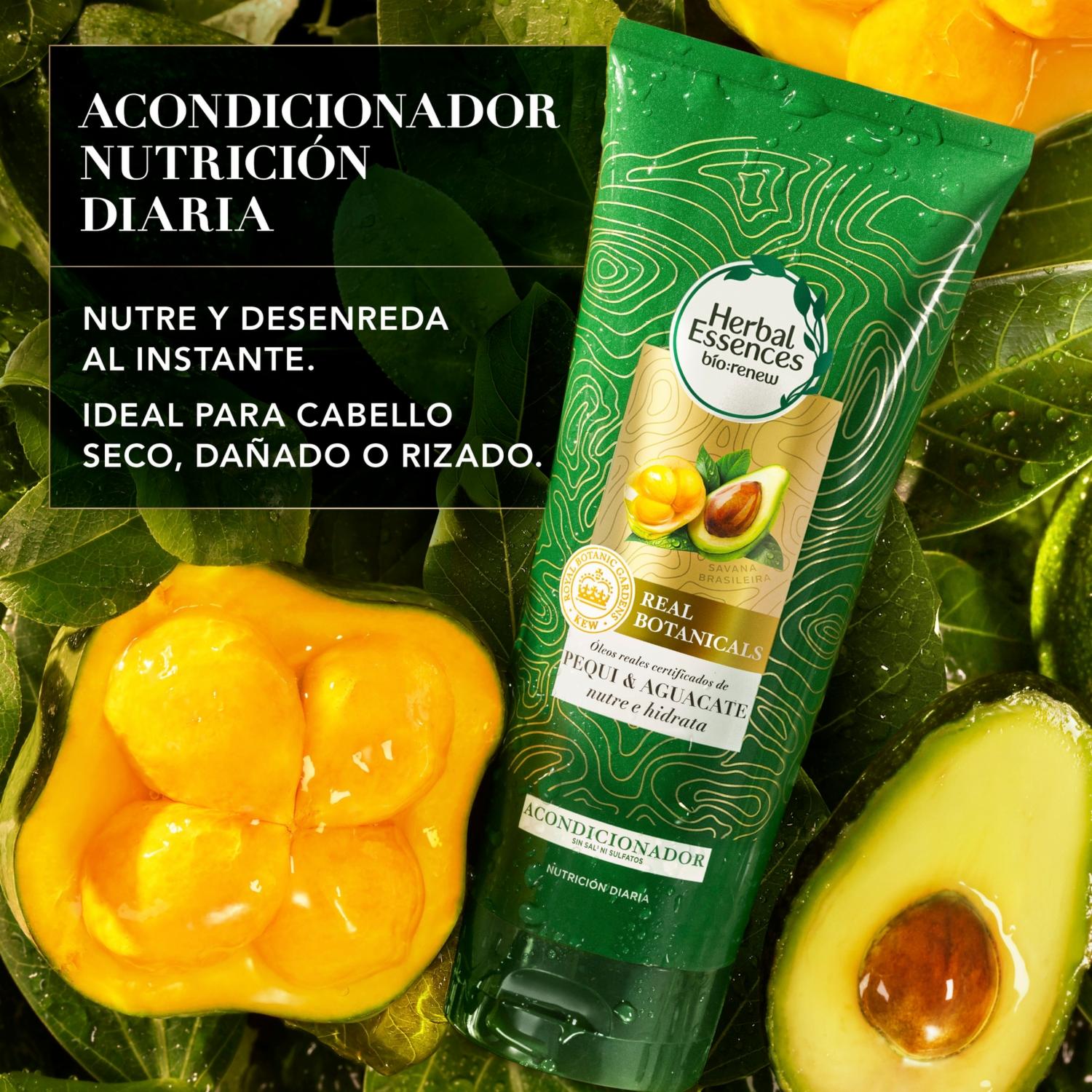 Acondicionador De Cabello Bio:Renew Pequi & Aguacate Nutre E Hidrata HERBAL ESSENCES 250 Ml - Imagen 3