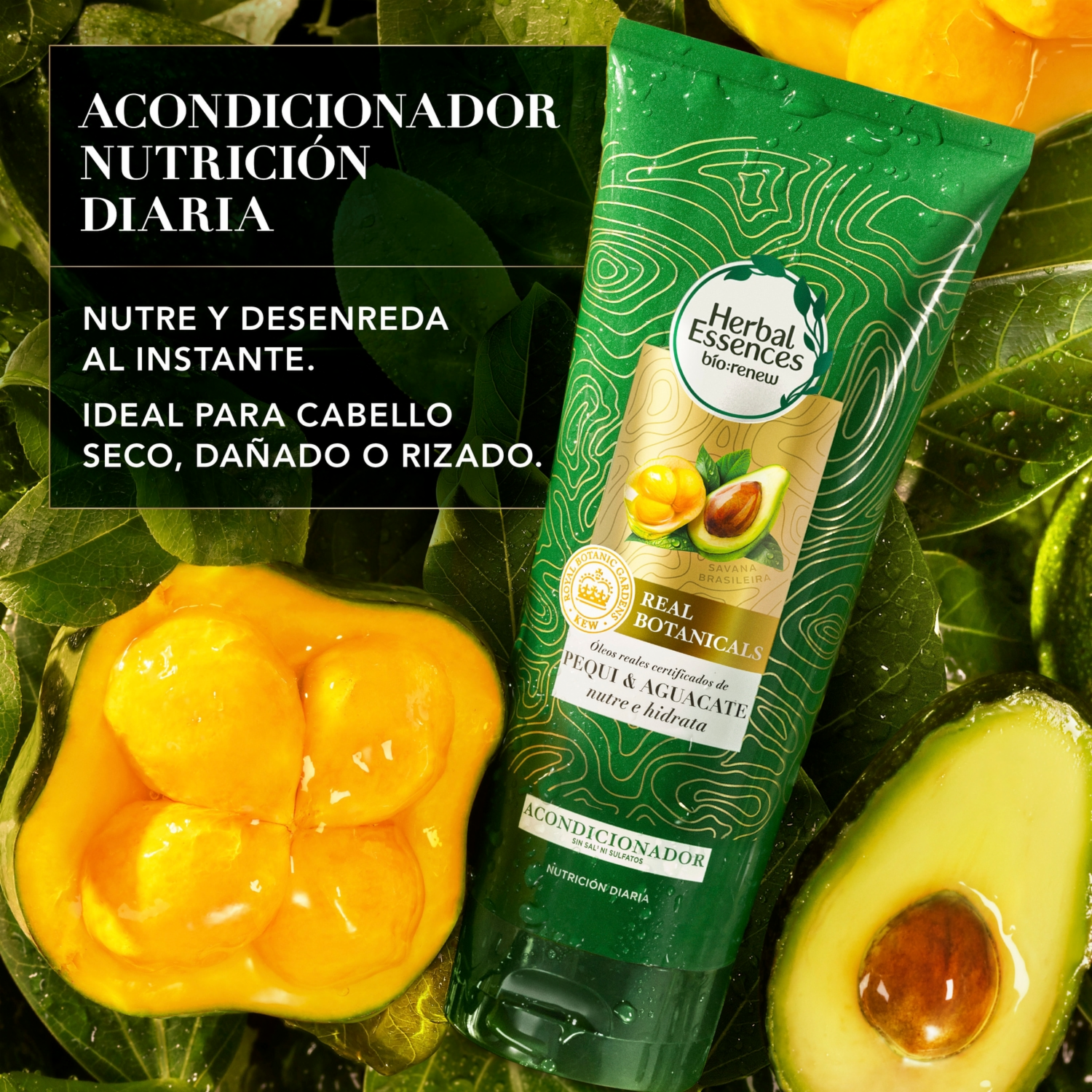 Acondicionador De Cabello Bio:Renew Pequi & Aguacate Nutre E Hidrata HERBAL ESSENCES 250 Ml - Imagen 4