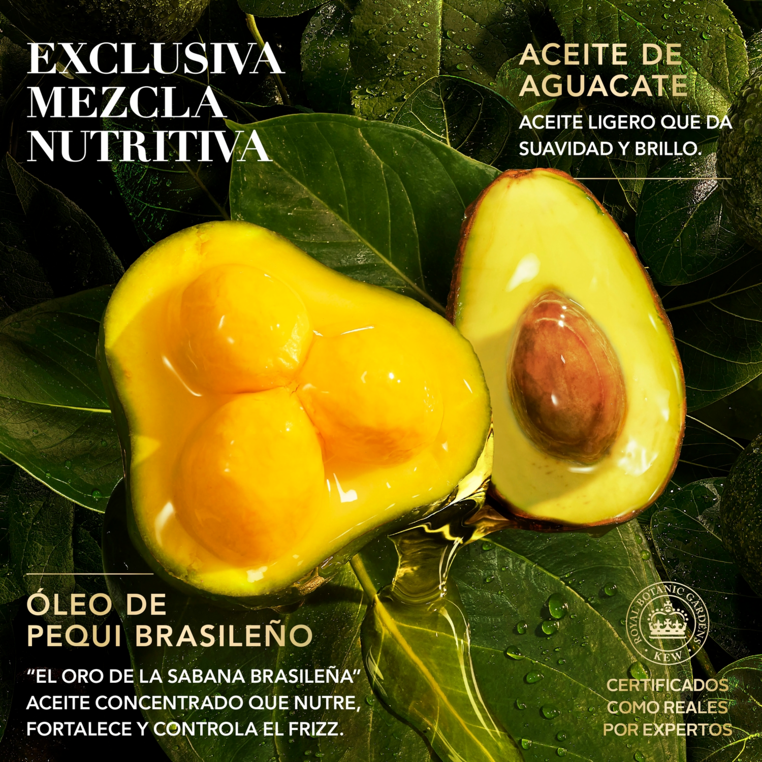 Acondicionador De Cabello Bio:Renew Pequi & Aguacate Nutre E Hidrata HERBAL ESSENCES 250 Ml