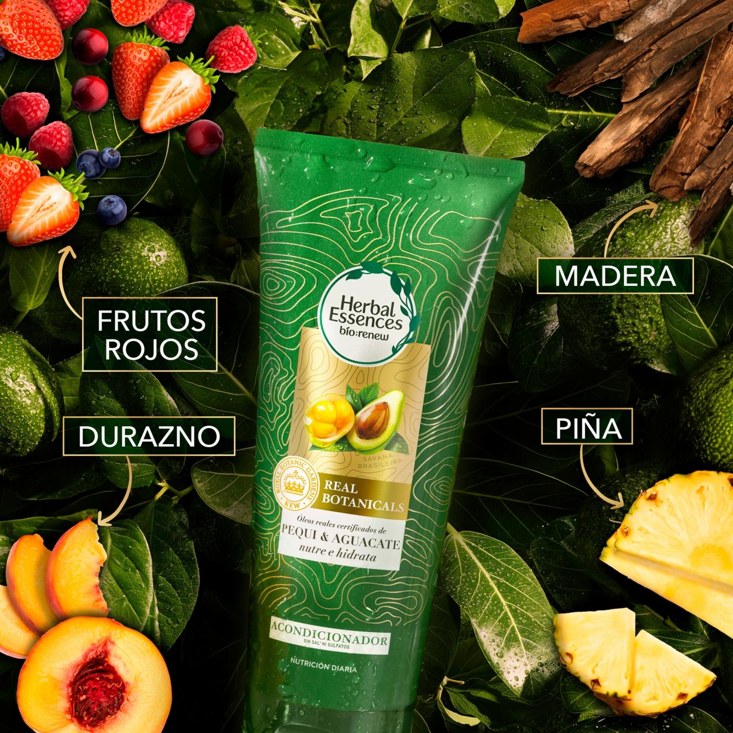 Acondicionador De Cabello Bio:Renew Pequi & Aguacate Nutre E Hidrata HERBAL ESSENCES 250 Ml - Imagen 13