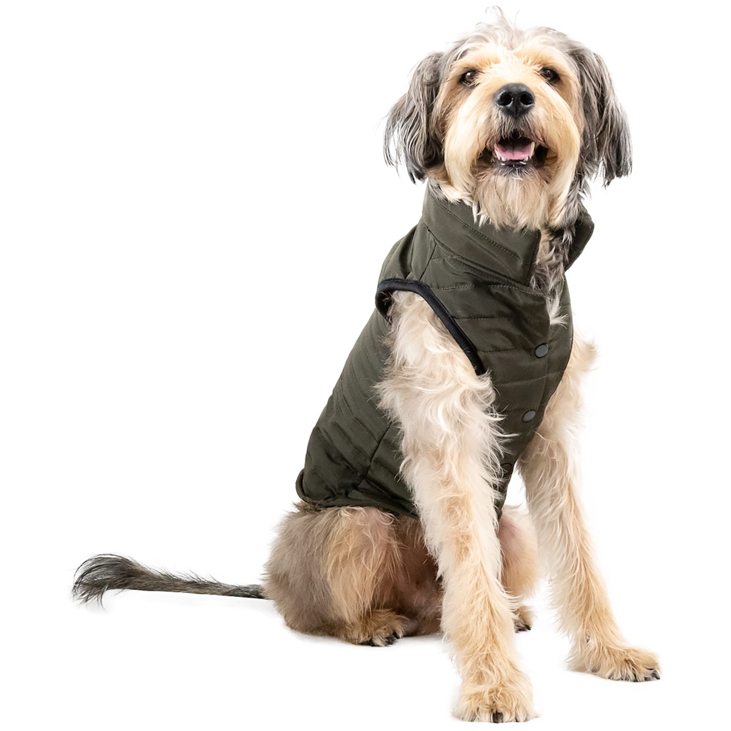 Chaleco Para Mascota Acolchado Verde NENUU Talla Extra Extra Grande - Imagen 2