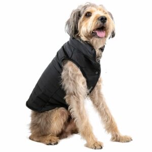 Chaleco Para Mascota Acolchado Negro NENUU Talla Extra Extra Grande