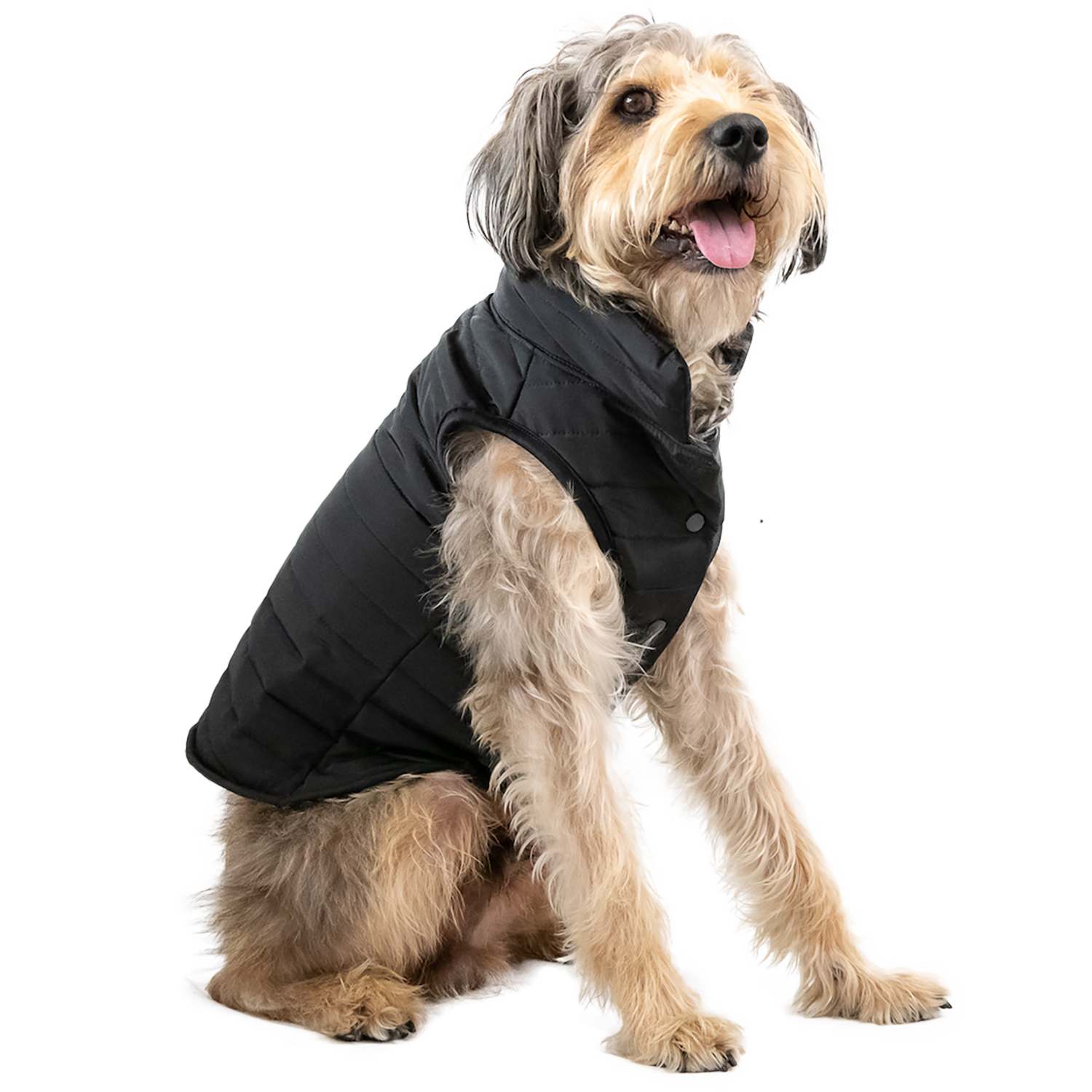 Chaleco Para Mascota Acolchado Negro NENUU Talla 3 Extra Grande - Imagen 2