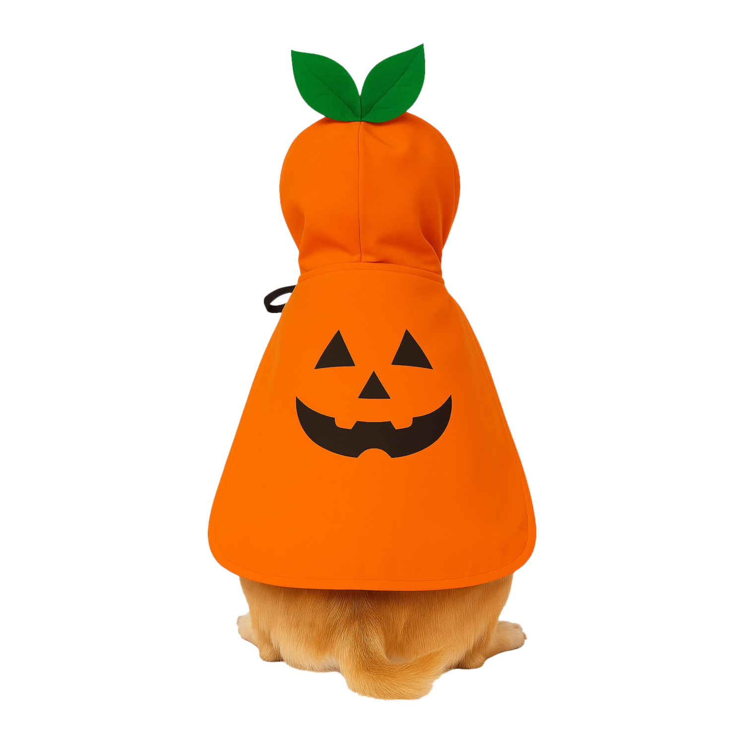Capa Para Mascota Diseño Calabaza Halloween NENUU Talla Pequeño - Imagen 6