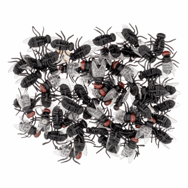 Moscas Halloween Plásticas DENVER 1.5 Cm - Imagen 4