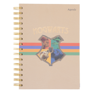 Agenda 174H 15X21 Harry Potter WARNER BROS 2026